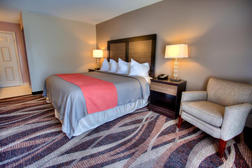 King Room interior